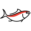Fish Icon